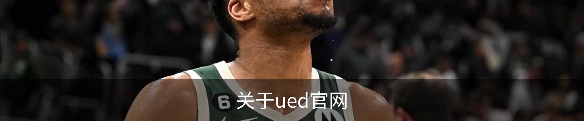 关于ued官网